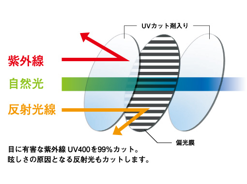 偏光レンズ